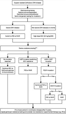 Prevention and management of human cytomegalovirus in pediatric HSCT recipients: A review